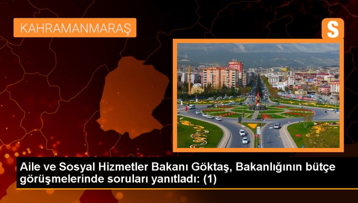 Aile ve Toplumsal Hizmetler Bakanı Göktaş, Bakanlığının bütçe görüşmelerinde soruları yanıtladı: (1)