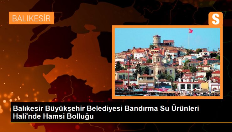 Balıkesir’de Hamsi Bolluğu: Vatandaşın Birinci Tercihi