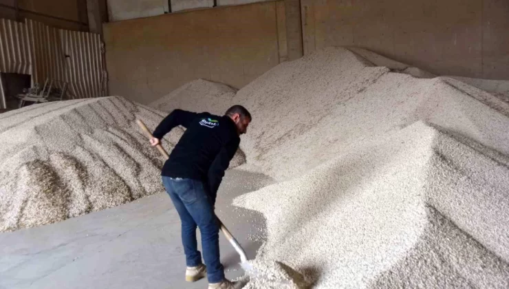 Bitlis’te Kurulan Kuru Fasulye Paketleme Tesisleri Türkiye ve Yurt Dışı Pazarına Sunuluyor