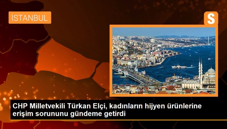 CHP Milletvekili Türkan Elçi, bayanların hijyen eserlerine erişim meselesini gündeme getirdi