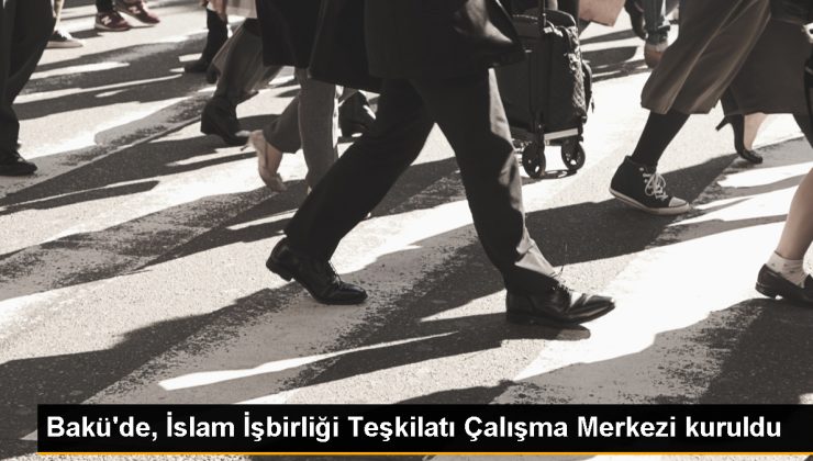 İİT Çalışma Merkezi Türkiye’nin siyaset ve stratejileriyle ahenk içinde