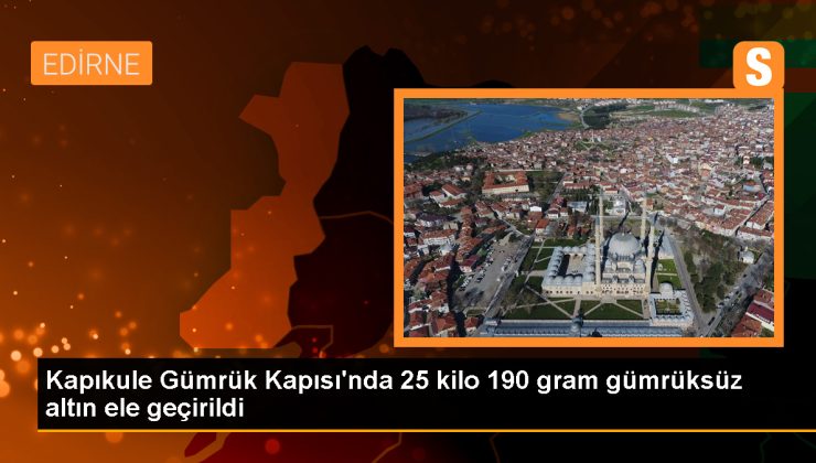 Kapıkule’de 25 Kilo Altınla Yakalanan Kuşkulu Tutuklandı