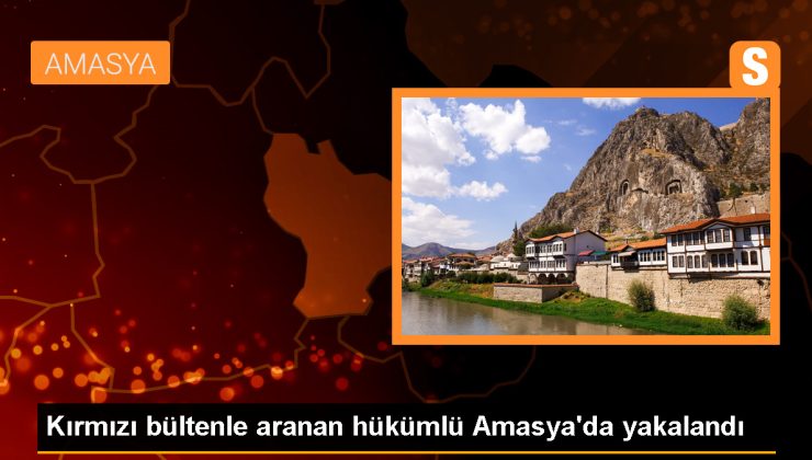 Amasya’da Interpol tarafından aranan hükümlü yakalandı