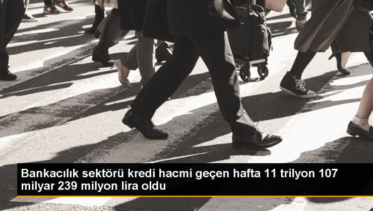 Bankacılık kesiminin kredi hacmi 74 milyar lira arttı