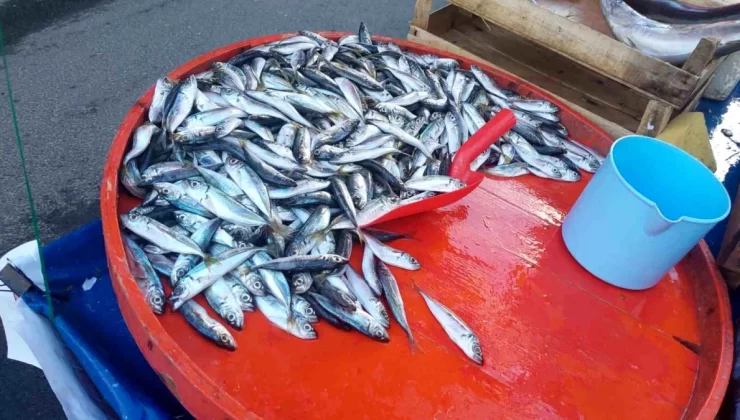 Seyyar balık satıcısı isyan etti: Sigaraya 50 lira veriyorlar, balığa vermiyorlar