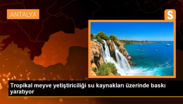 Tropikal meyve yetiştiriciliği su kaynakları üzerinde baskı yaratıyor