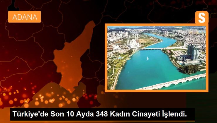 Türkiye’de Son 10 Ayda 348 Bayan Cinayeti İşlendi.