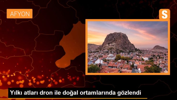 Yılkı atları dron ile doğal ortamlarında gözlendi