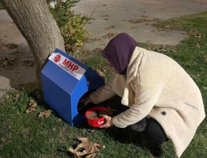 Alaşehir’de Sokak Hayvanları İçin Barınaklar Yerleştirildi