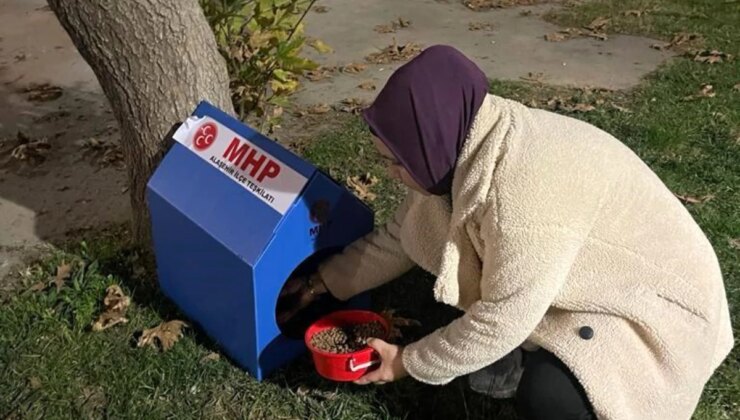 Alaşehir’de Sokak Hayvanları İçin Barınaklar Yerleştirildi