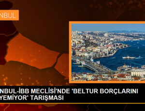 Beltur’un ziyanları İstanbul Büyükşehir Belediye Meclisi’nde tartışıldı
