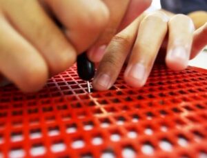 Braille alfabesi nedir? Kim tarafından, ne vakit icat edildi?