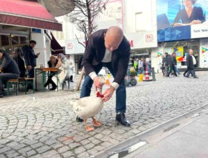 Eskişehir’e Gelen Cango ile Çi Böreği Tadı