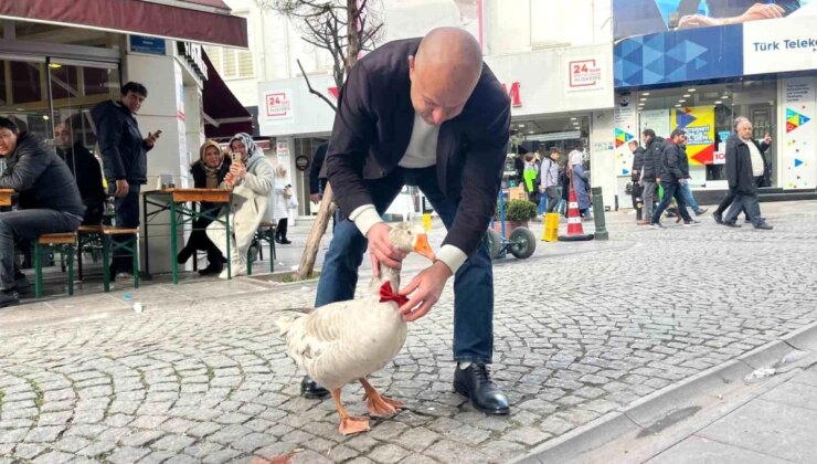 Eskişehir’e Gelen Cango ile Çi Böreği Tadı