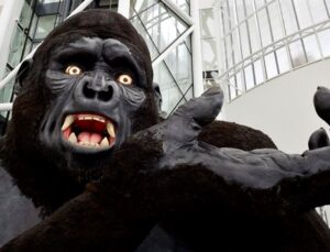 Gerçek King Kong bulundu! Bilim insanları jenerasyonunun neden tükendiğini ortaya çıkardı