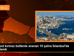 İçişleri Bakanı: İnterpol kırmızı bültenle aranan 10 şahıs yakalandı