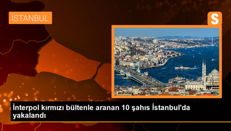 İçişleri Bakanı: İnterpol kırmızı bültenle aranan 10 şahıs yakalandı