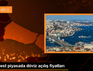 İstanbul hür piyasada dolar 29,9710 liradan, avro 32,7760 liradan güne başladı