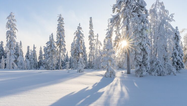 Avrupa’nın Kuzeyi Buz Kesti: İskandinav Ülkeleri Sert Kışın Pençesinde!