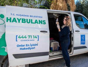 Kuşadası Belediyesi Haybulans Araçlarıyla 78 Bin 669 Can Dosta Müdahale Etti