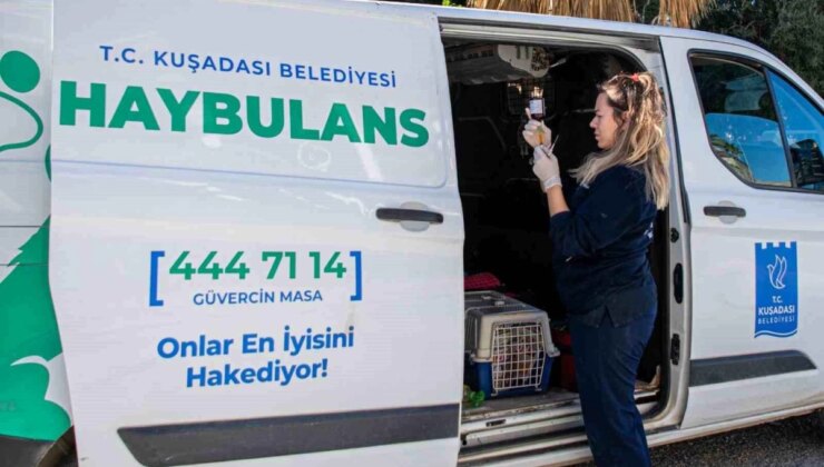 Kuşadası Belediyesi Haybulans Araçlarıyla 78 Bin 669 Can Dosta Müdahale Etti