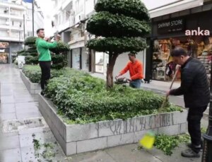 Marmaris Belediyesi Park ve Bahçeler takımları budama çalışmalarına devam ediyor