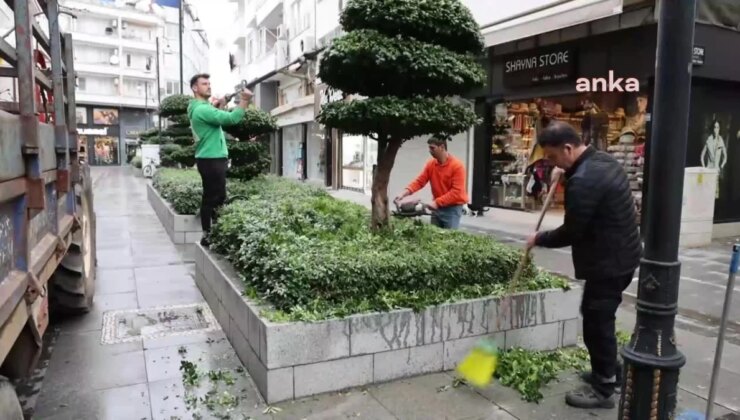 Marmaris Belediyesi Park ve Bahçeler takımları budama çalışmalarına devam ediyor