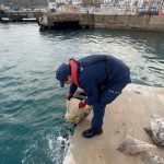 19 cuval kacak avlanan deniz patlicani ele gecirildi dF2rpq2I