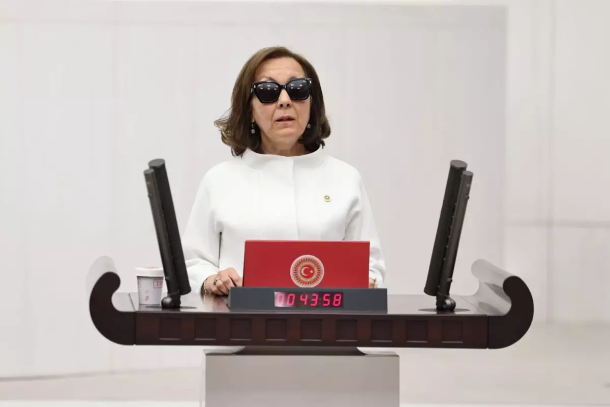 dun partisinden istifa eden serap yazici ozbudun ak partinin yeni mkyk listesinde dlY6Pmyz