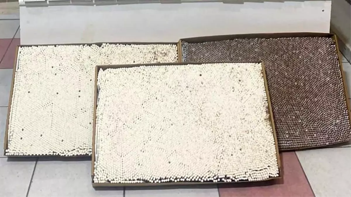 kirikkalede 46 bin kacak makaron ele gecirildi cS6QOSzO