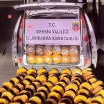 uydurma bandrollu 580 kilogram tutun ele gecirildi O9v59Kvw