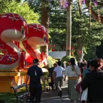 wellingtonda fener senligi coskusu NBDA7XUq