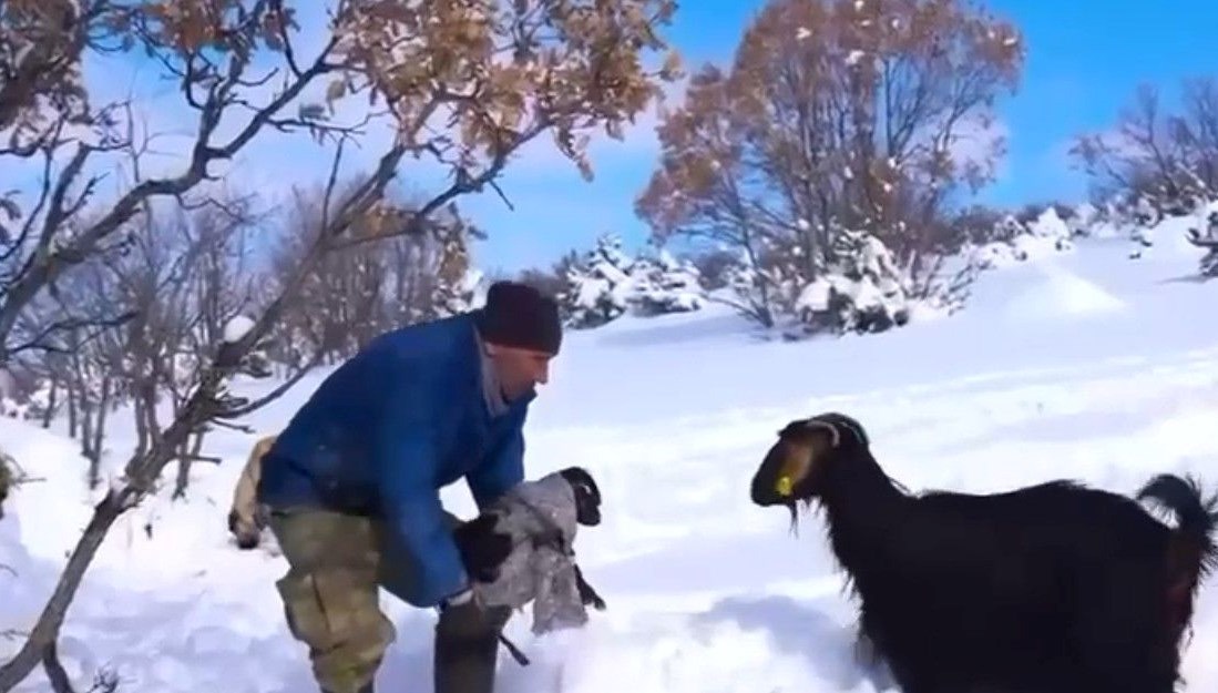 yurtdisinda meslekleri denedi memleketinde cobanliga dondu lzMIIzz2