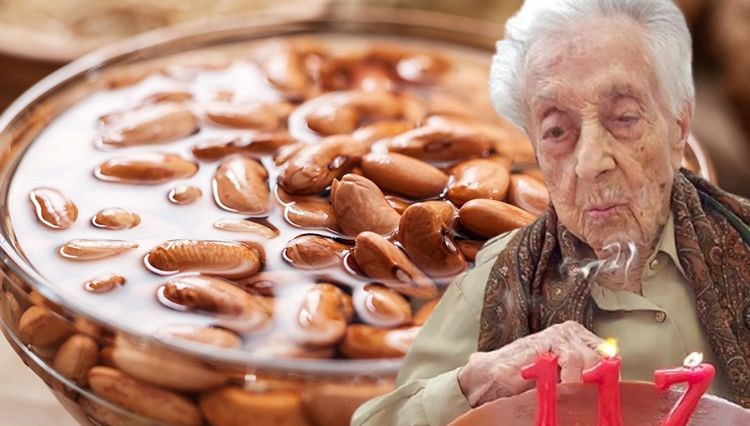 Dünyanın En Yaşlı İnsanı 117 Yaşına Bastı: Asırlık Hayatın Arkasındaki Gizem Ne? 71 117 yasina kadar yasayan dunyanin en yasli insani uzun omrunun sirri buymus