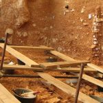 14 milyon yillik bati avrupadaki en eski insan kalintisi bulundu ZXB1Gyh7