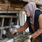 2 cocuk annesi gulizar devlet dayanagiyla kurdu 2 yilda sayiyi 12ye cikardi RQHXzaMT