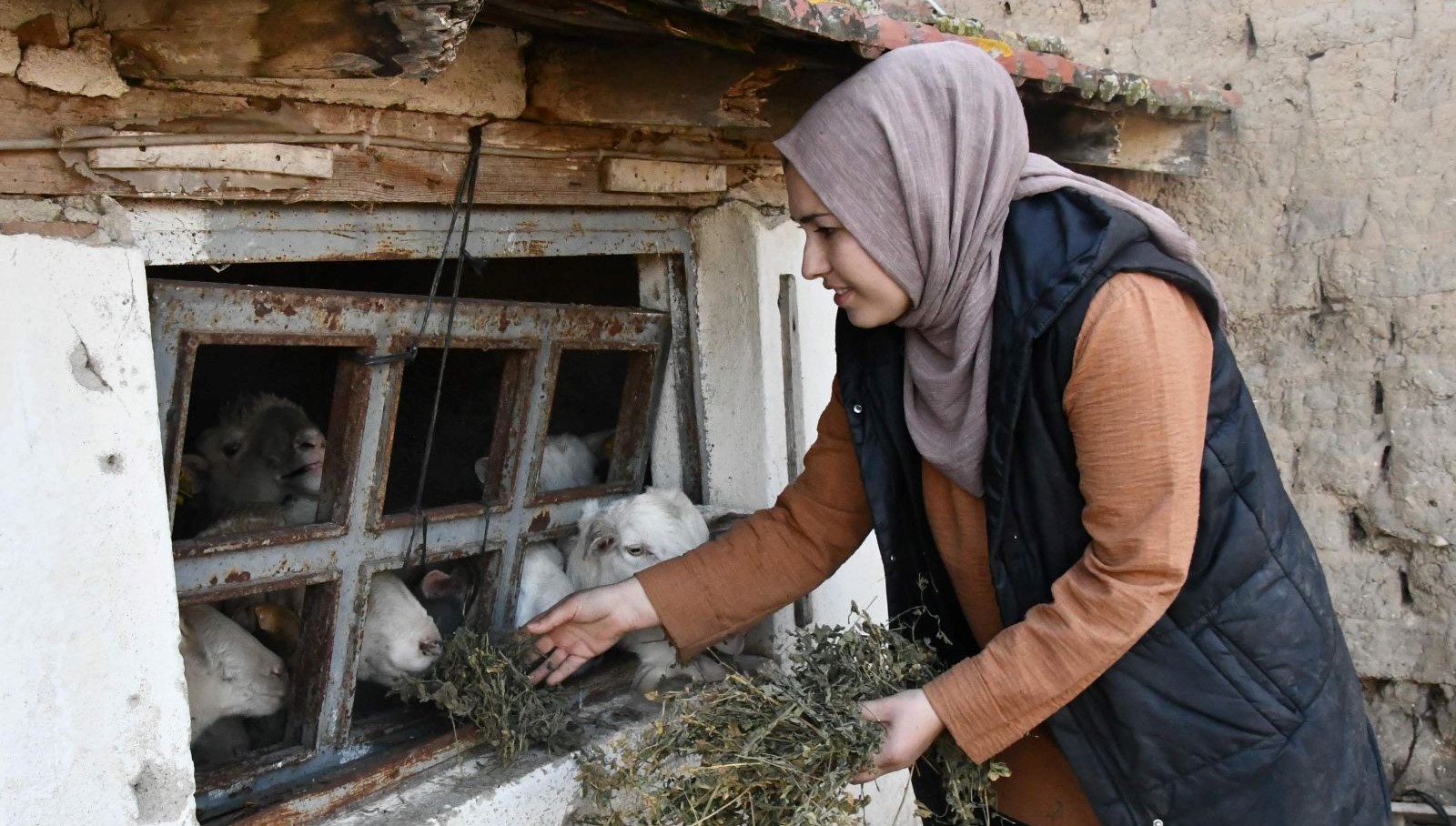 2 cocuk annesi gulizar devlet dayanagiyla kurdu 2 yilda sayiyi 12ye cikardi RQHXzaMT
