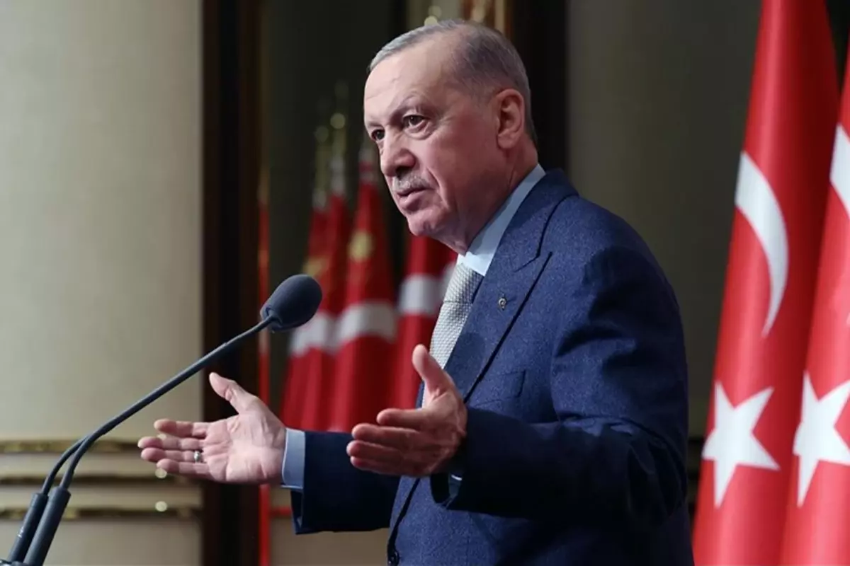 Rana'nın Acı Kaybı Sonrası Erdoğan'dan Sahipsiz Hayvanlar İçin Çağrı 69 2 yasindaki rananin vefatinin akabinde erdogandan sokak hayvanlarina ait bildiri lmWUefvI
