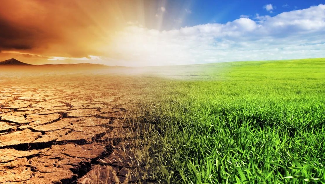 5 bireyden 1i iklim degisikliginin tesirlerini hissediyor Q2DJMkUp