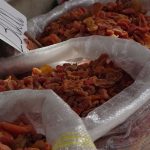 74 yasinda 66 yildir babasindan ogrendigi yolu uyguluyor meslegi ogluna birakacak hXuUZ1BN