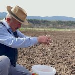 77 yasinda genclere tas cikartiyor taskopru sarimsagiyla gecimini sagliyor Z3pmAPFW