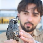 abdden 17 cins siparis verdi ciftlik kurdu universiteli genc artik dunyaya ihrac ediyor lmv1E6QT