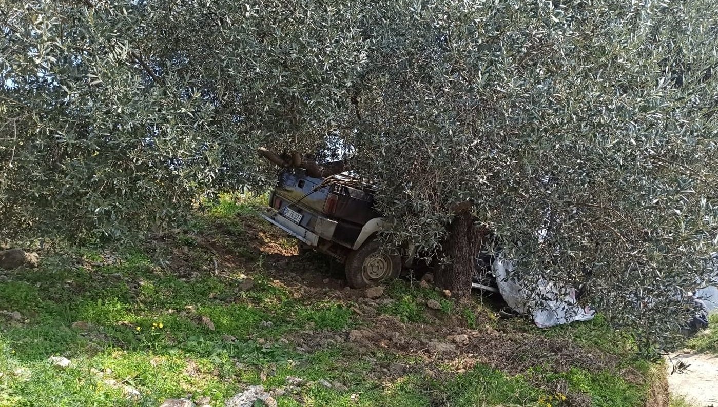 agaca carpan pikabin soforu oldu uLY4VKUs