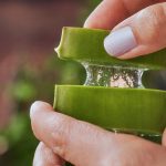 aloe veranin sac uzerindeki tesiri bilinmeyen bir ziyani var YiNTgn6P