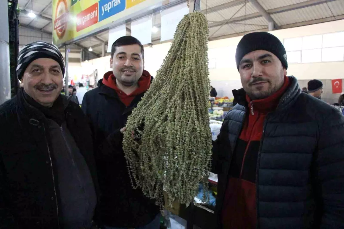 amasyanin sari altin bamyasi HRUGPgzQ