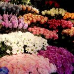 anneler gunu ne vakit 2025 anneler gunune kac gun kaldi KRfBQjRZ