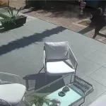 antalyada halk otobusu park halindeki araclara carpti KuNyK8B9