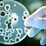 antarktikada 6 yeni bakteri cinsi kesfedildi d6AuIywA