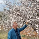 arabanda bahar coskusu YeY3vv2y