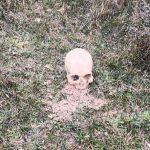 arnavutkoyde insan kafatasi bulundu uXhFuE72